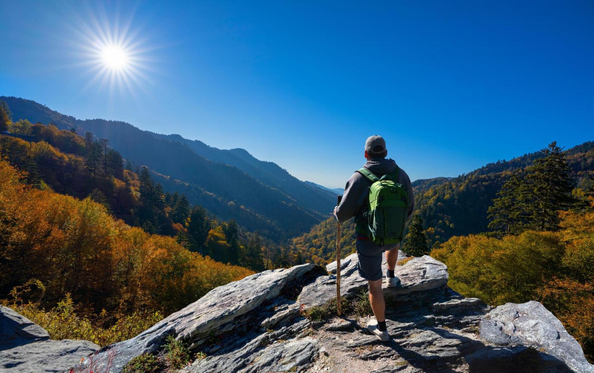 Hemlock Hollow, Pool Access, 1089 Free Tickets Each Paid Day, Dollywood And More 세비어빌 외부 사진