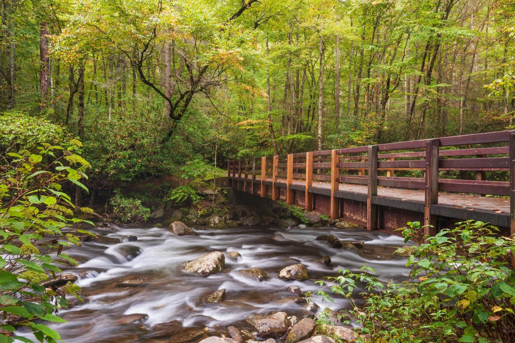 Hemlock Hollow, Pool Access, 1089 Free Tickets Each Paid Day, Dollywood And More 세비어빌 외부 사진